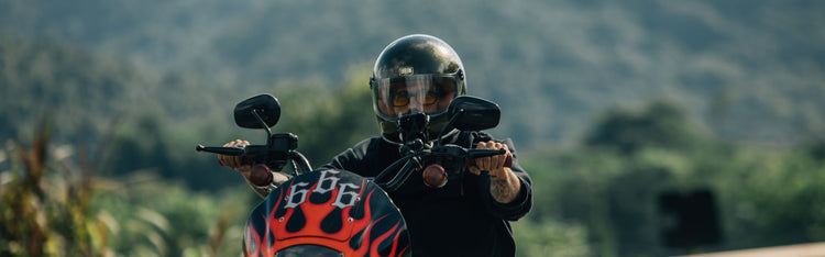 Shields and Visors