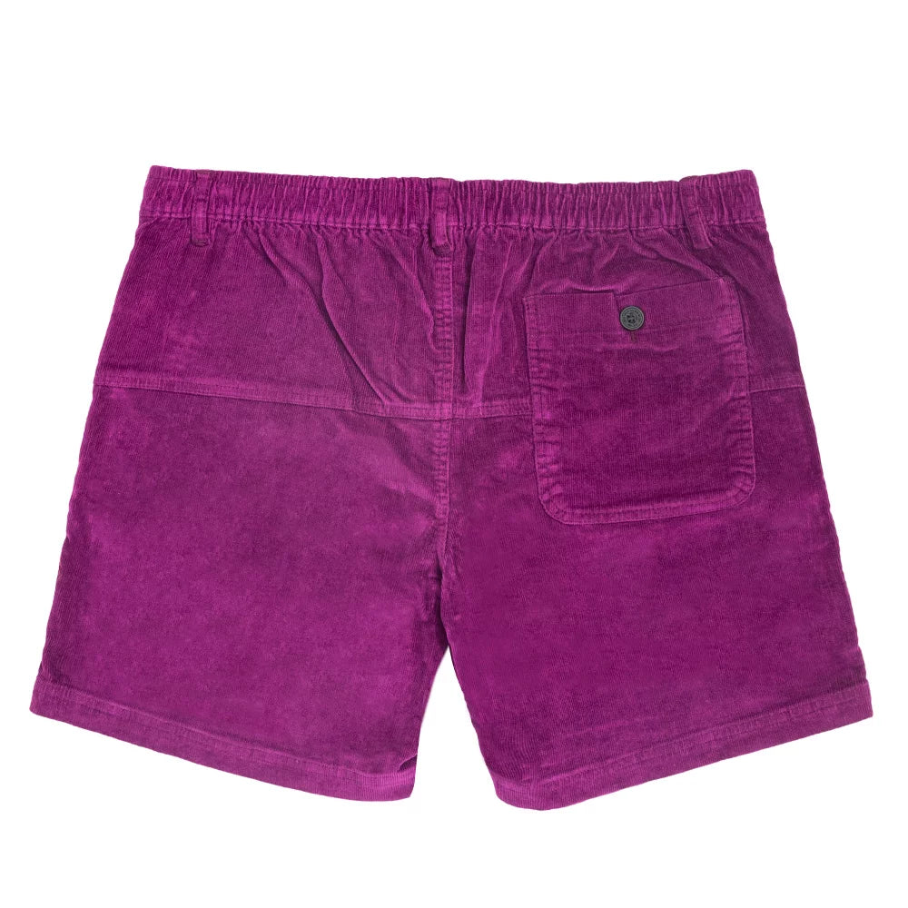 Urban Ollie Purple Velvet Shorts