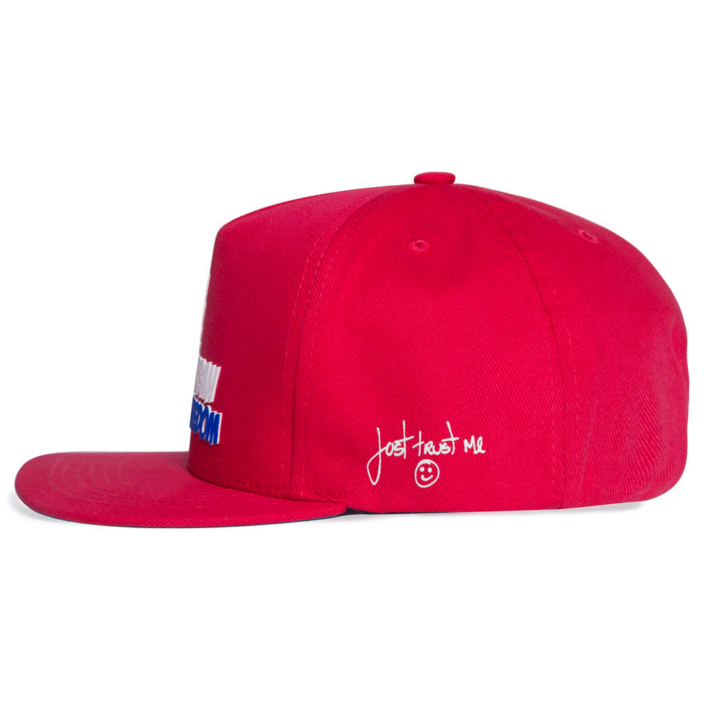 Urban Freedom Snapback